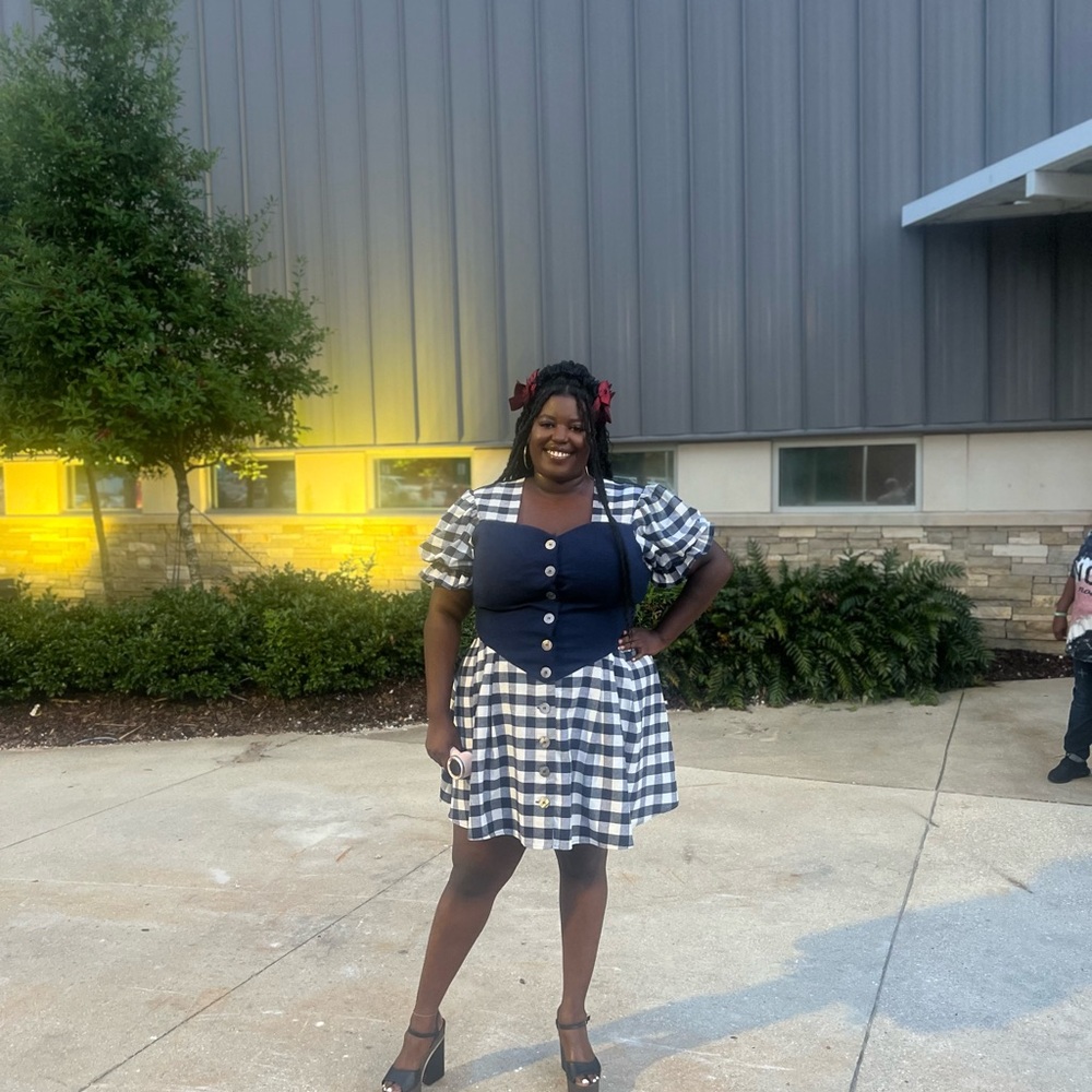 Fashion Brand Company Blue and White Plaid Mini Dress